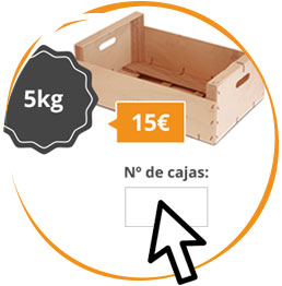Paso 1